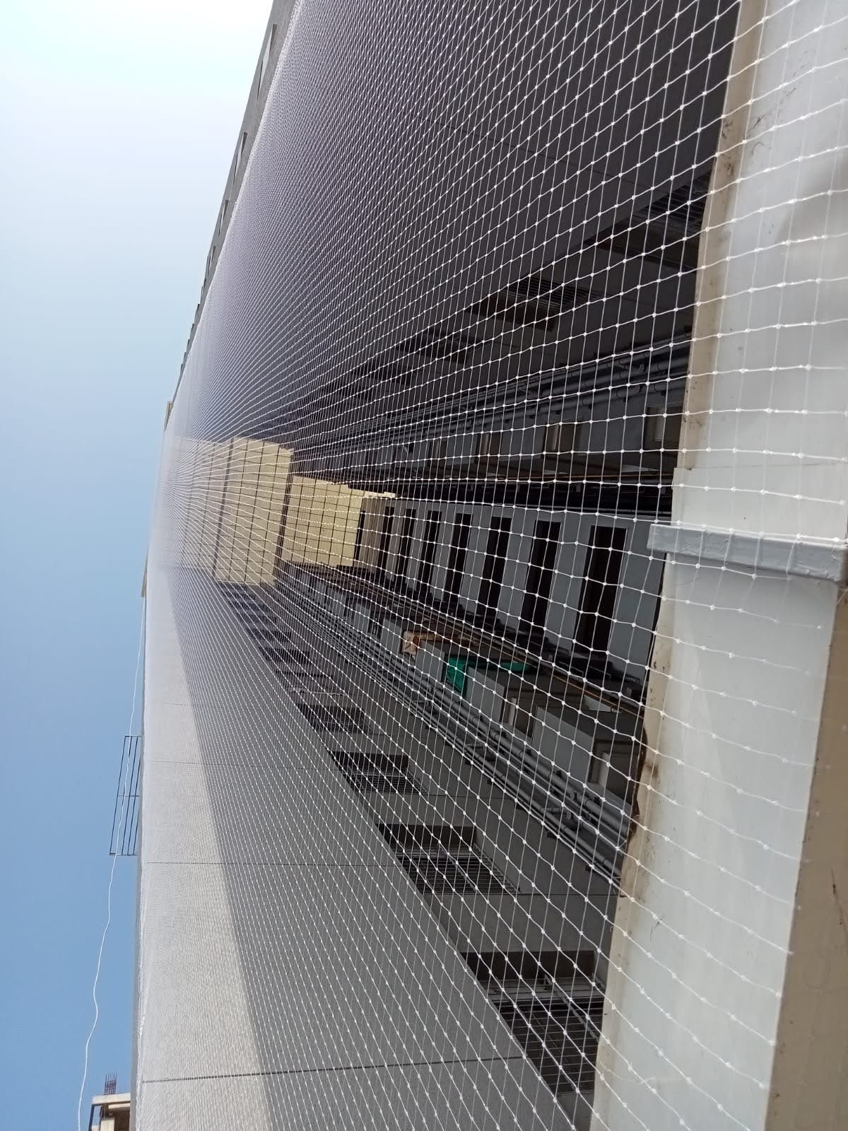 Sparrow protection net installation